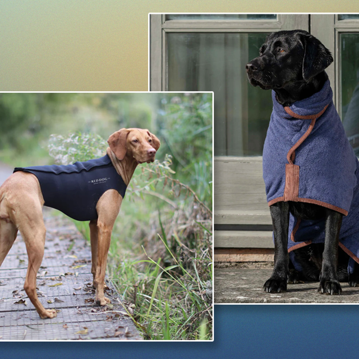 Best dog coats 2023 Fleece waterproof and high vis The Independent